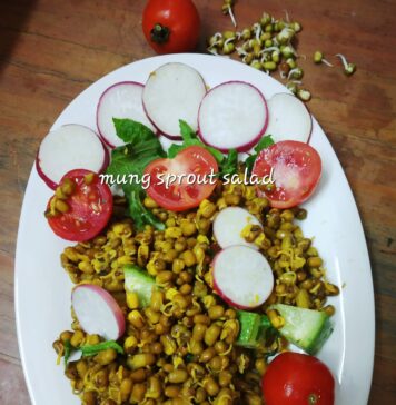 Moong Sprout salad